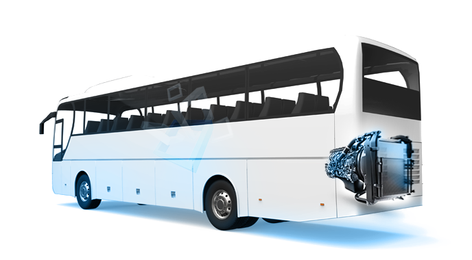 Bus